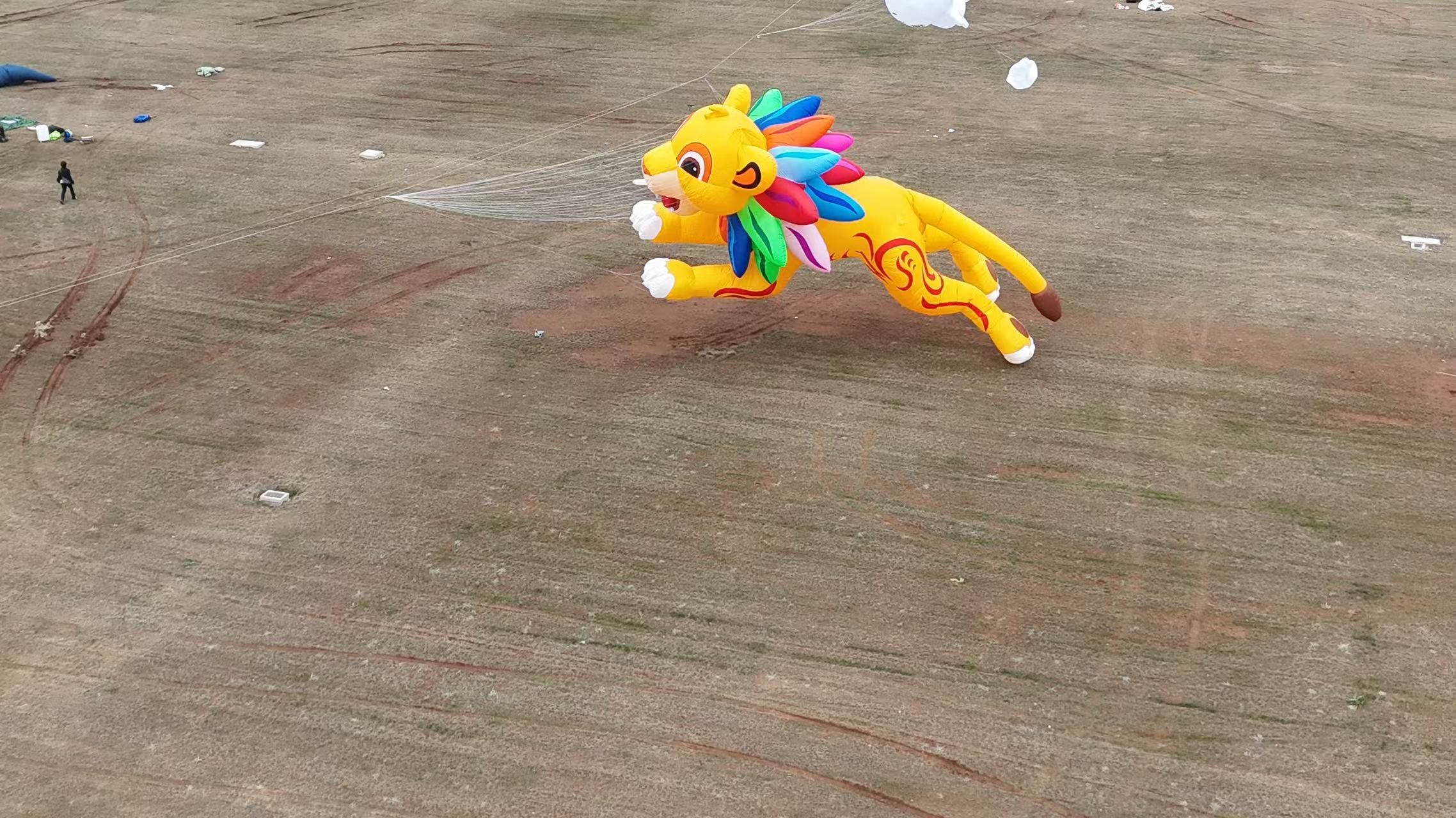 本溪市品牌风筝定制风筝批发 - 推荐