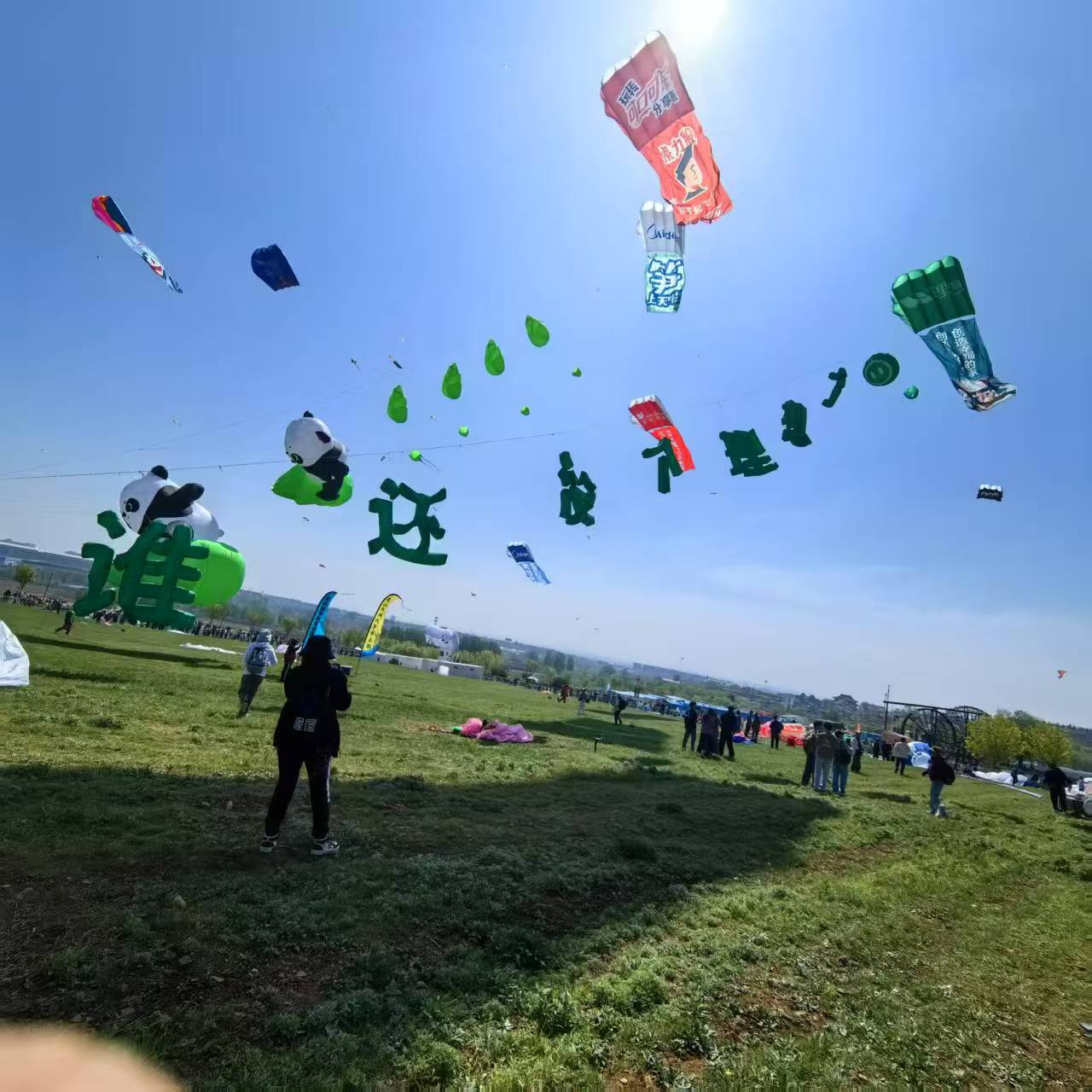 本溪市软体风筝定制风筝定制 - 厂家